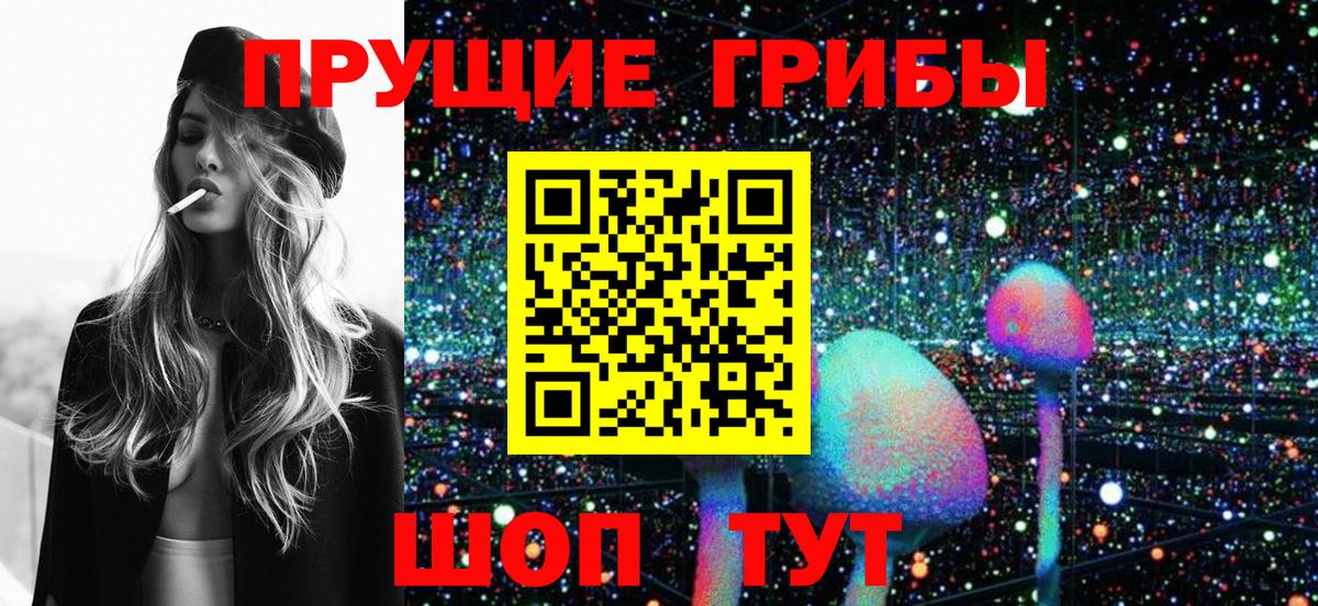 как найти   Галлюциногенные грибы прущие грибы  Вход с VPN  Кириши 
